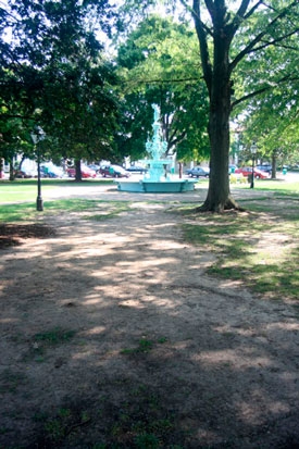 Fountain Park, looking east from High Street. One of the most soil-compacted areas in the park.