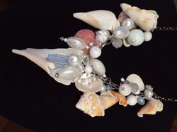 Candice Lipcomb's Seashells