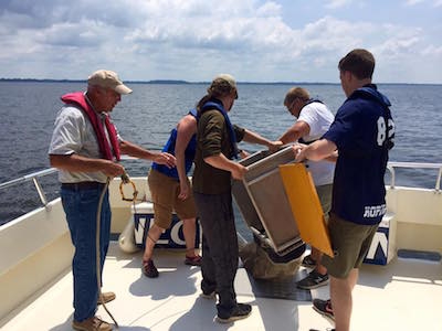 A group prepares to launch the trash trawl equipment from the Callinectes.