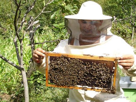beekeeper1